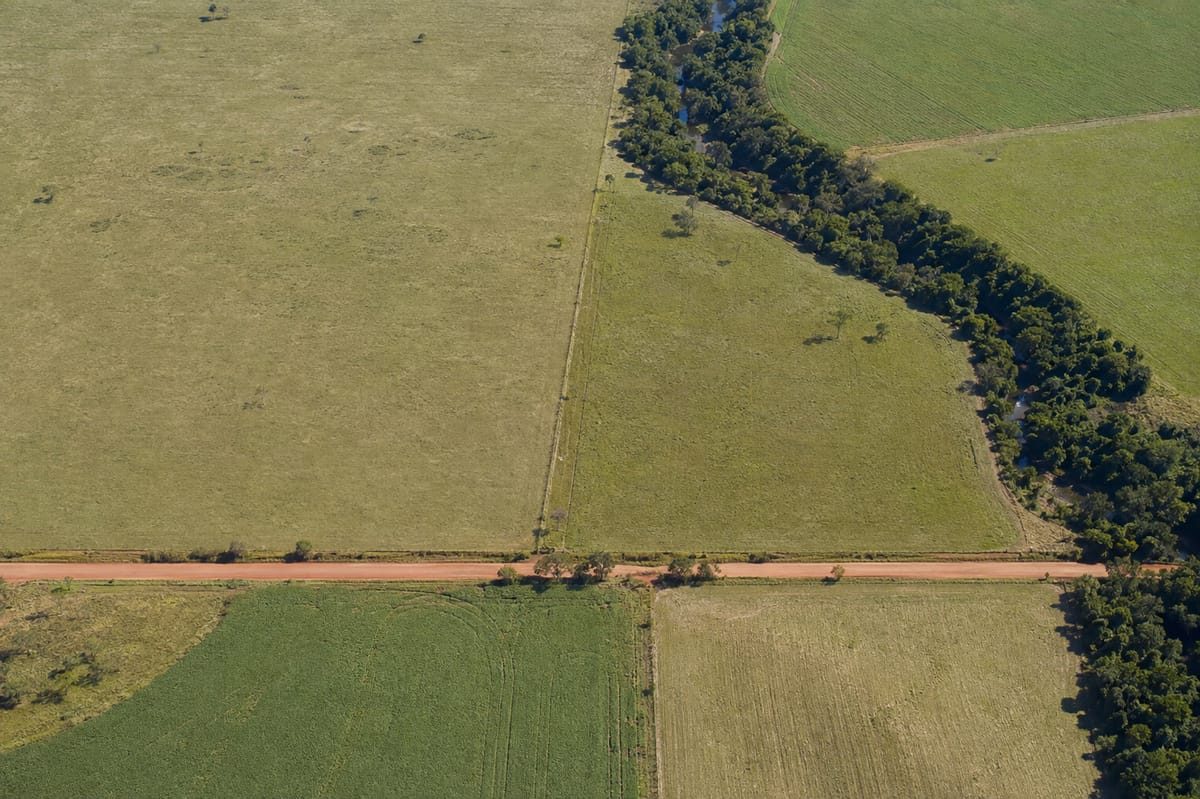 Vista de cima de uma propriedade com as divisas e a estrada de terra marcando os limites