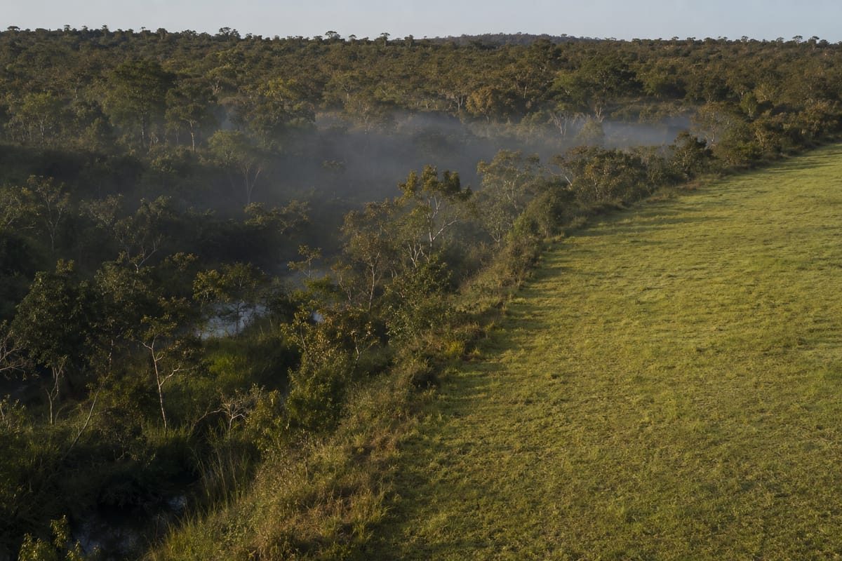 Faixa de mata nativa preservada acompanhando o córrego ao lado do pasto